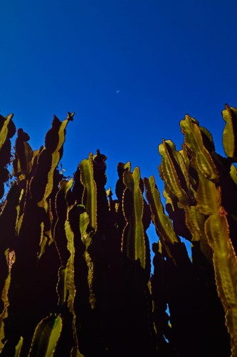 _DSC8969.jpg